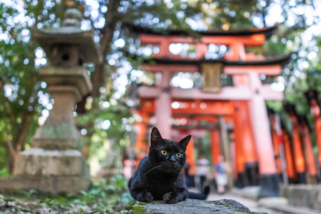 190903-RX1-1742-JPN5270-EDIT.jpg
