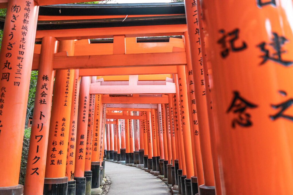 190903-RX1-1745-JPN5283-EDIT.jpg
