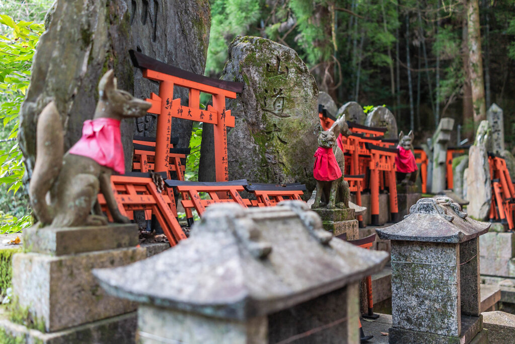 190903-RX1-1755-JPN5314-EDIT.jpg