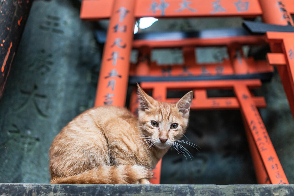 190903-RX1-1757-JPN5324-EDIT.jpg