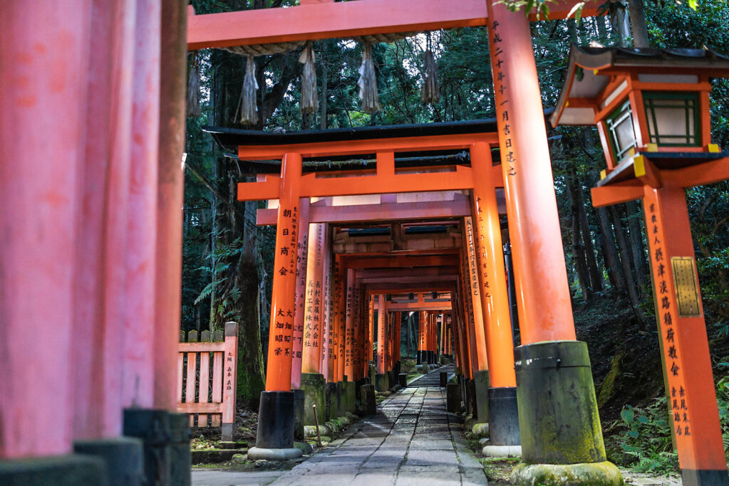 190903-RX1-1818-JPN5345-EDIT.jpg