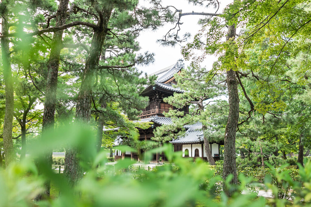 190902-RX1-1525-JPN4841-EDIT.jpg