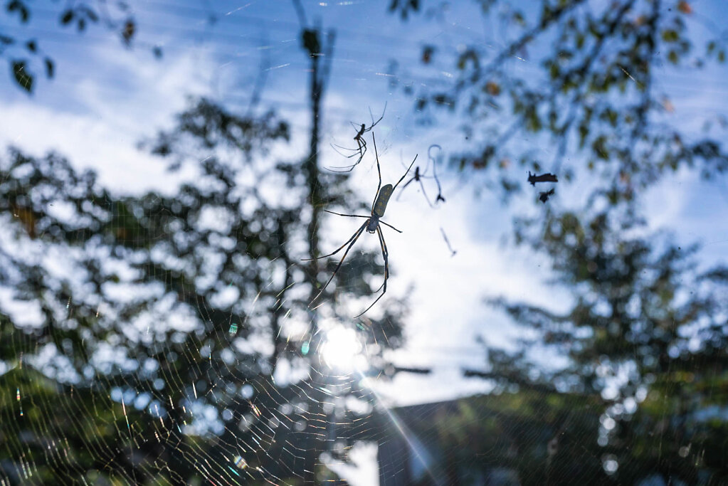 190925-RX1-1607-JPN8313-EDIT.jpg