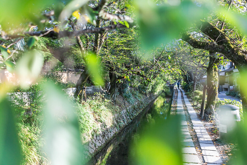 190925-RX1-1625-JPN8337-EDIT.jpg