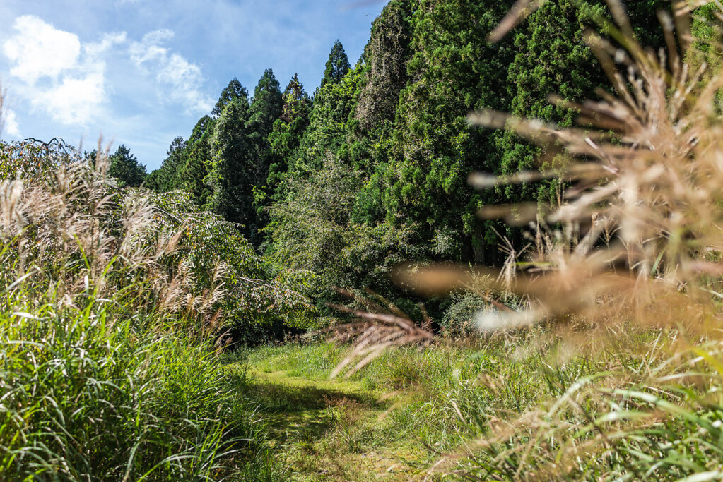 190907-RX1-0930-JPN6515-EDIT.jpg