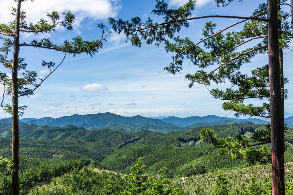 190907-RX1-1106-JPN6541-EDIT.jpg