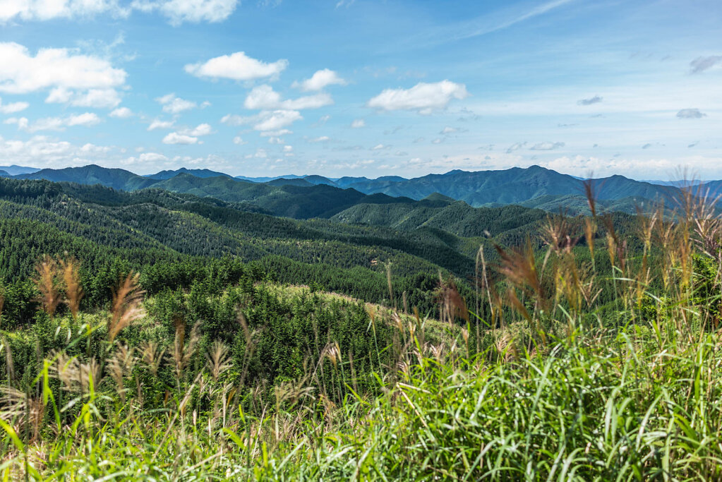 190907-RX1-1110-JPN6545-EDIT.jpg