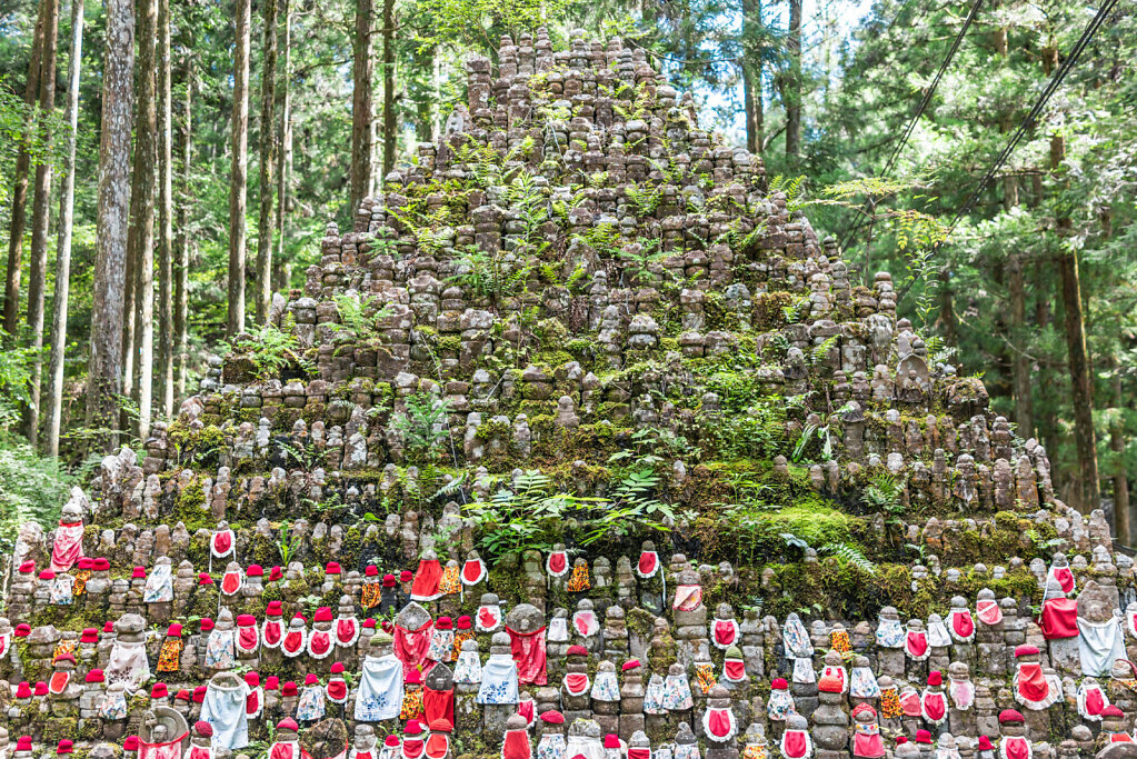 190906-RX1-1419-JPN6273-EDIT.jpg
