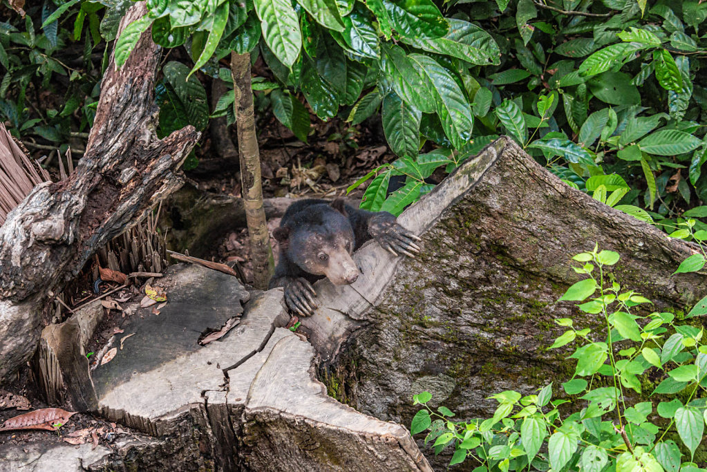 191124-D800-1133-MYS8261-EDIT.jpg